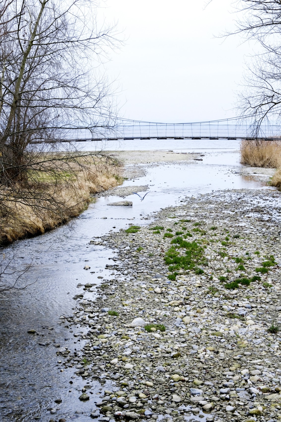 Die Sanierung der Steinach betrifft den gesamten Bachverlauf von der Seemündung bis zum Gallussteg im Wald oberhalb von Steinach. Das Delta in der Mündung zum Bodensee soll jedoch weitestgehend unberührt bleiben.