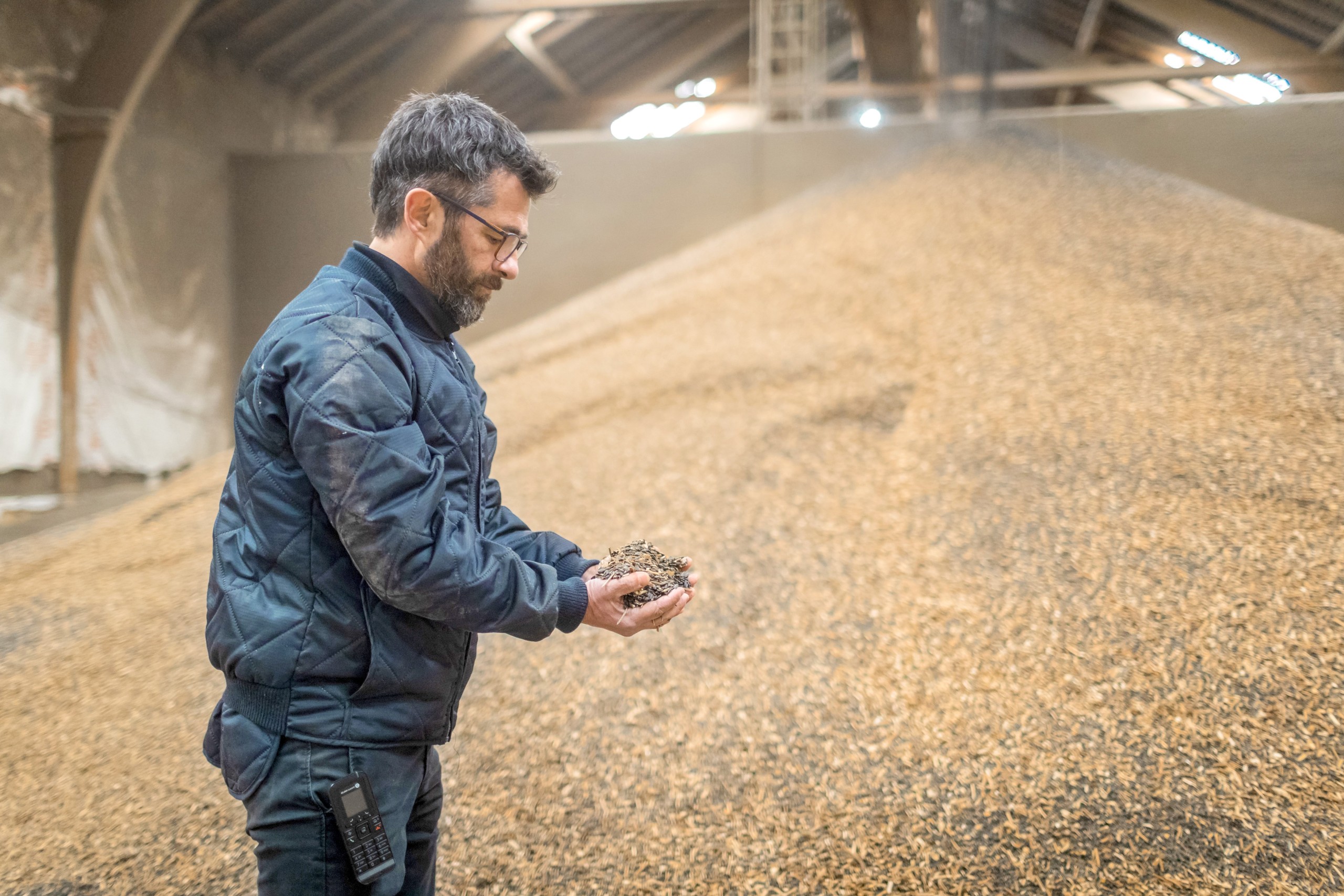 Ein Öl-Saaten-Berg: Im Speicher der Sabo AG können insgesamt bis zu 6000 Tonnen Saaten gelagert werden, die später zu Öl verarbeitet werden.