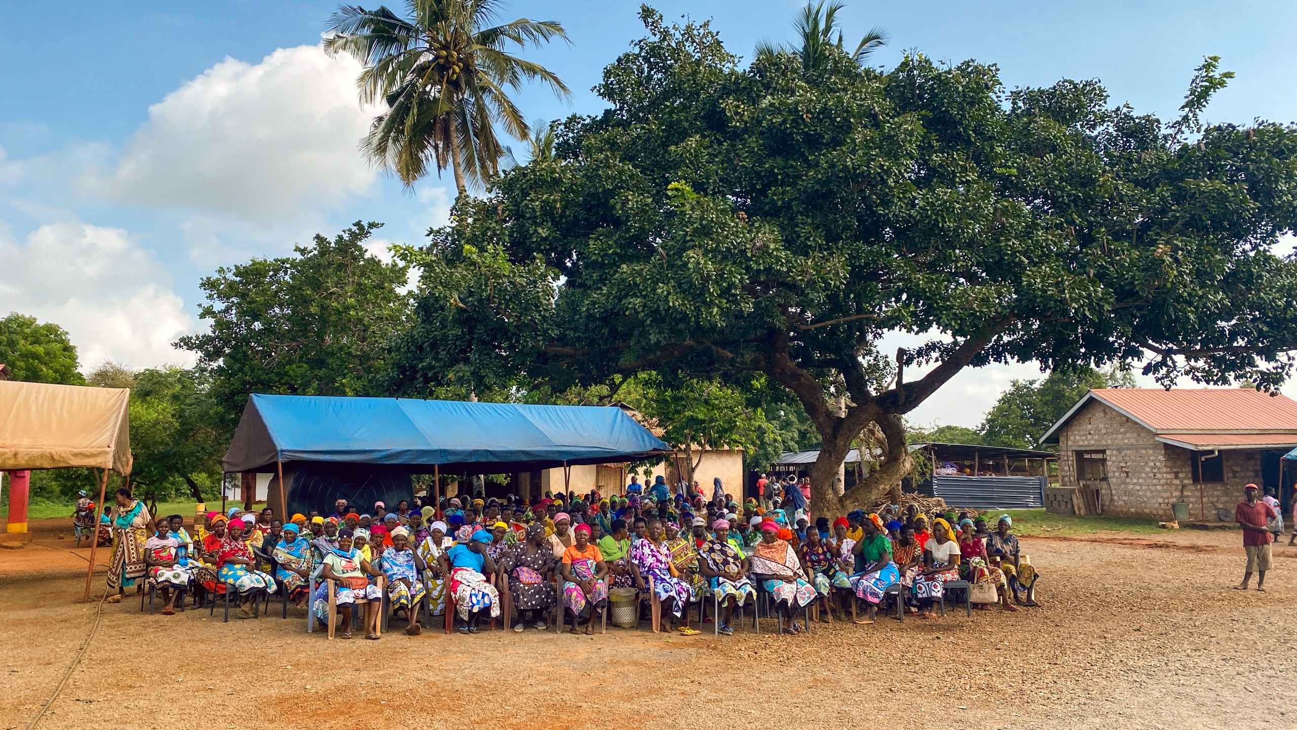 Das Interesse am Inhalt des Containers ist gross.