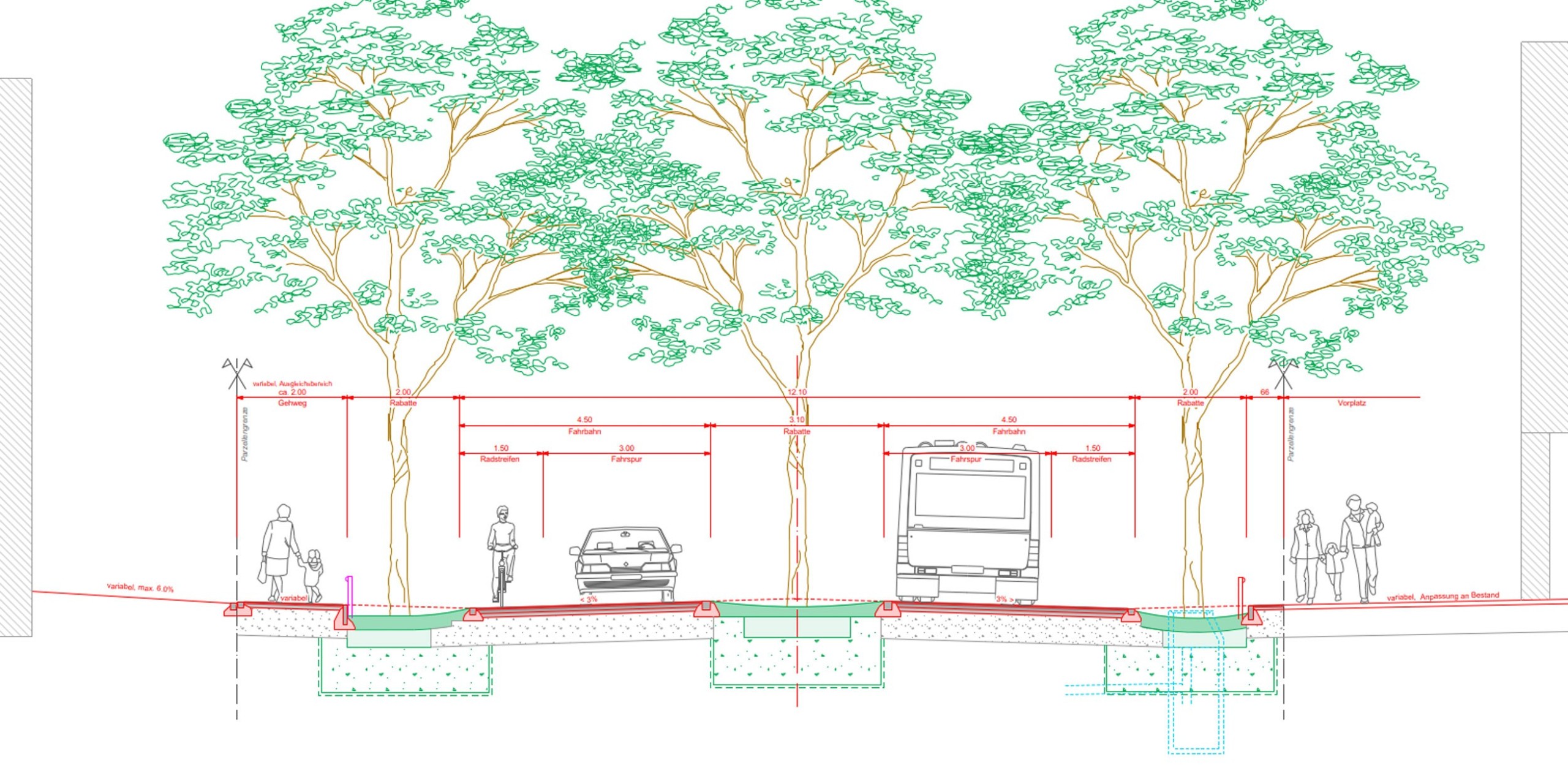 Die Bäume, die entlang der St.Gallerstrasse gepflanzt werden, müssen von vornherein eine gewisse Höhe aufweisen, damit das Astwerk nicht an Bussen und Lastwagen entlang schrammt.