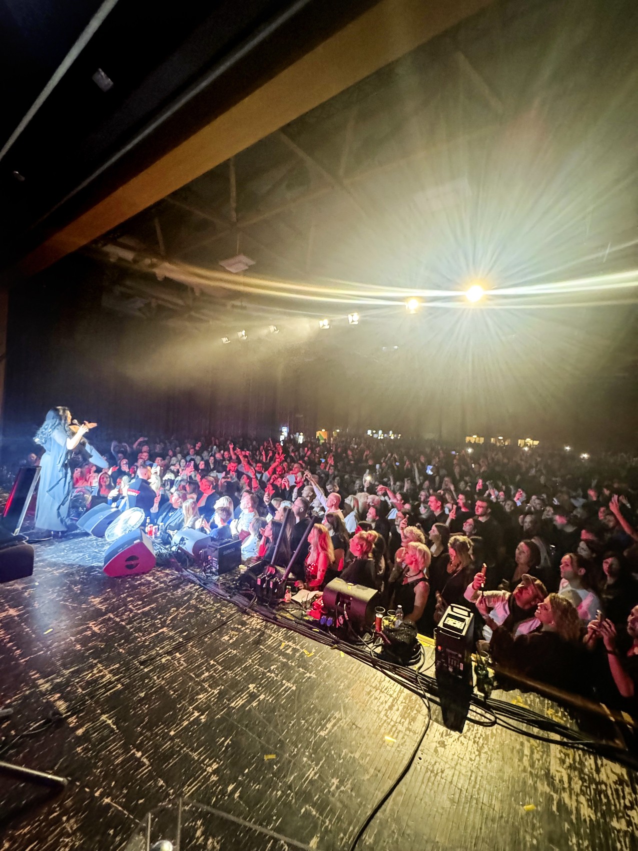 Volles Haus: Die serbische Pop-Folk-Sängerin Dragana Mirković lockte das Publikum im Rahmen der Konzertreihe «Balkan Vibez» in Scharen in den Seeparksaal. Nach Angaben des Veranstalters reiste es aus der ganzen Schweiz an.