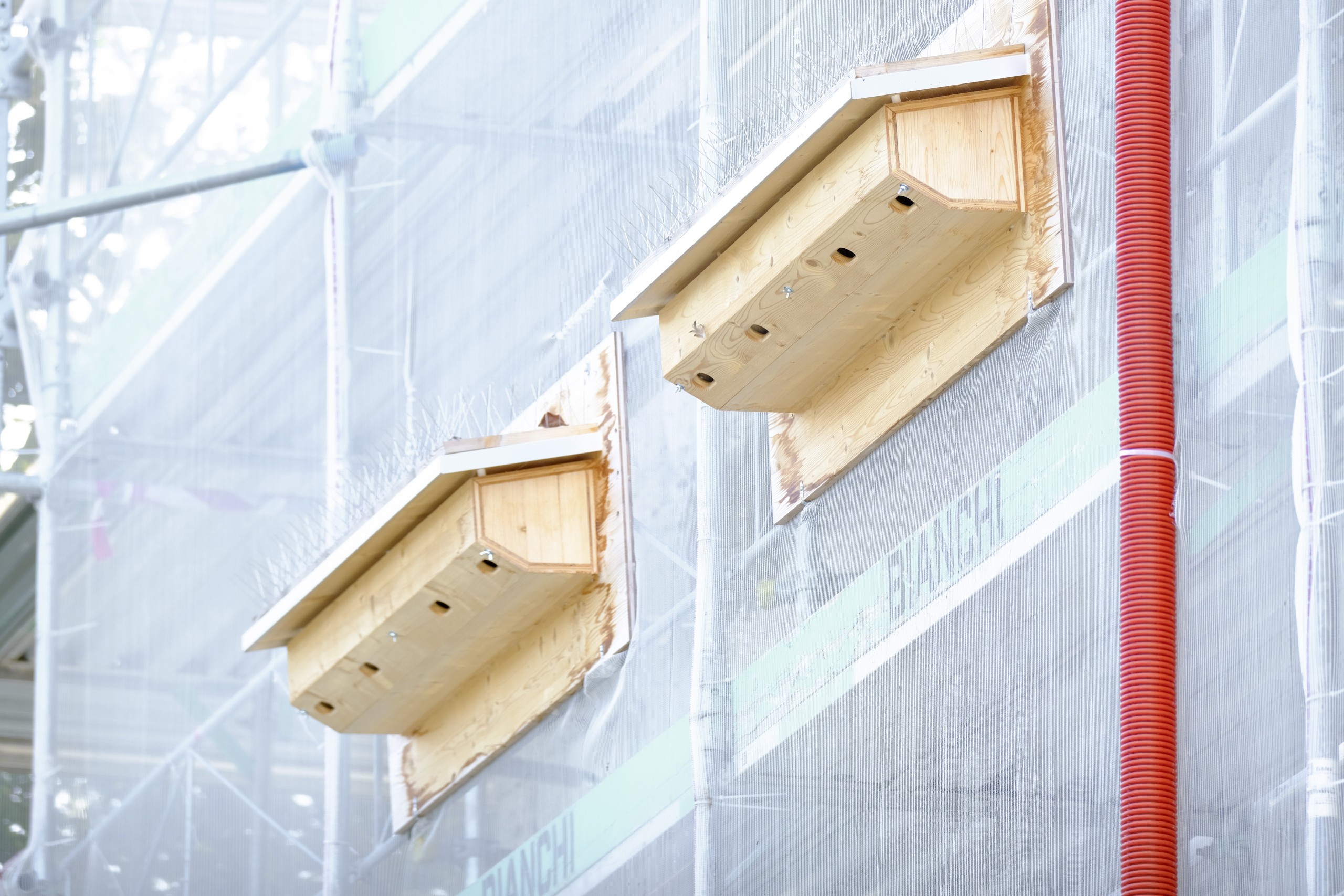 Die Arbeiten am Schlossturm schreiten zügig voran. Für die Mauersegler wurden übergangsmässig während den Arbeiten 83 Nistplätze and der Fassade geschaffen.